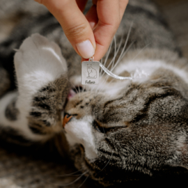 Abessijn Kattenhanger Zilver + Naam Graveren