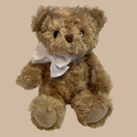 Tweeling Teddybeer Meisje/Meisje Set met 2x Naam Armbandje