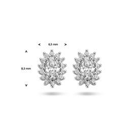 Dames Oorknoppen Zilver met Zirkonia en Halo met Zirkonia’s