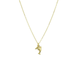 14K Geelgouden Collier met Dolfijn