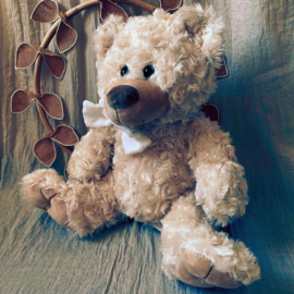 Tweeling Teddybeer Set met 2x Baby Naam Armbandje