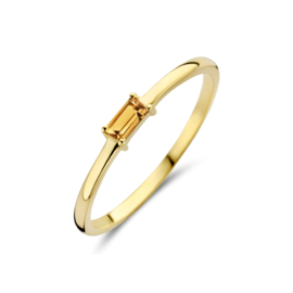 Gouden Ring met Geboortesteen November Citrien