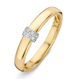 Excellent Jewelry Geelgouden Ring met Witgouden Diamant Plaatje