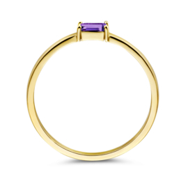 Gouden Ring met Geboortesteen Februari Amethist