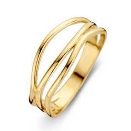 Excellent Jewelry Ring van Geelgoud met Slanke Lijnen
