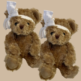 Tweeling Teddybeer Meisje/Meisje Set met 2x Naam Armbandje