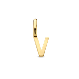 14K Geelgouden Hanger met Letter V