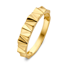 Excellent Jewelry Geelgouden Ring met Strak Design Motief