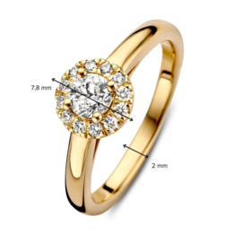 14K Goud Luxe Diamanten 0.45 crt. Verlovingsring