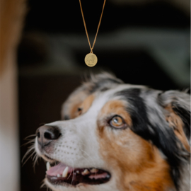 Gouden Hanger met Duitse Dog Hond + Naam Graveren