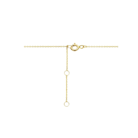 14K Gouden Collier met Rondjes 0,8 mm 40 – 42 – 44 cm