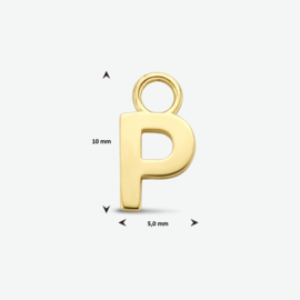 14K Geelgouden Oorringhanger met Letter P