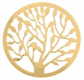 MY iMenso munt boom met goudkleurige coating 33-0481