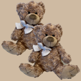 Tweeling Bruine Teddybeer Set met 2x Naam Armbandje