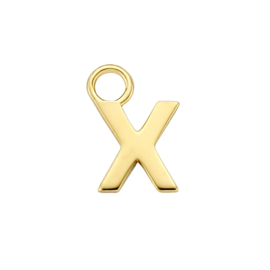 14K Geelgouden Oorringhanger met Letter X