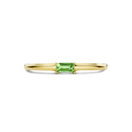 Gouden Ring met Geboortesteen Mei Smaragd