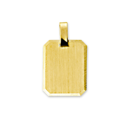 Rechthoekige Gouden Graveerhanger met Gepolijste Rand | Logo / lijntekening