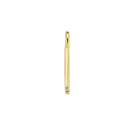 14K Geelgouden Oorringhanger met Letter W