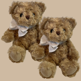 Tweeling Teddybeer Jongen/Jongen Set met 2x Naam Armbandje