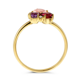 Gouden Ring met Diamanten 0.02ct h p1 en Edelstenen