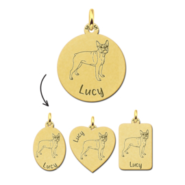 Gouden Hanger met Hond Boston Terrier + Naam Graveren