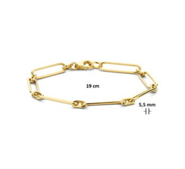 Gouden Armband Paperclip 5,5 mm 19 cm