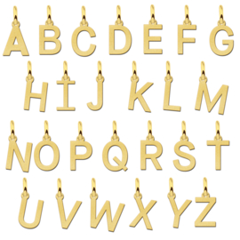 Minimalistische Letter Hanger van Goud | Names4ever