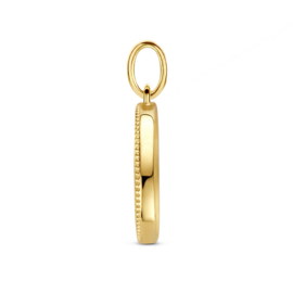 14K Geelgouden Ronde Hanger met Stier Sterrenbeeld