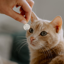 Zilveren Kattenhanger Heilige Birmaan + Naam Graveren