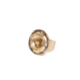 Metalen Decoratie Ring met Goudkleurige Coating van BIBA