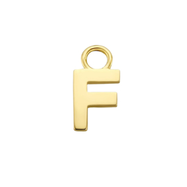 14K Geelgouden Oorringhanger met Letter F