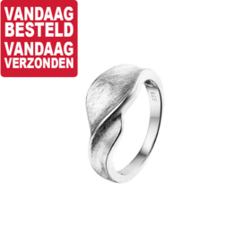 Kronkelend Kopstuk Ring van Zilver / Maat 18,5