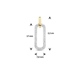 Bicolor Hanger Diamant 0.09ct H SI