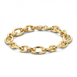 Excellent Jewelry Geelgouden Armband met Robuuste Schakels