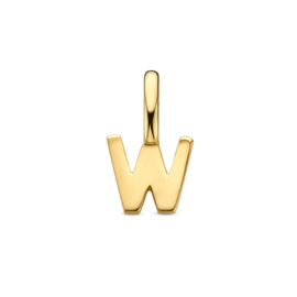 14K Geelgouden Hanger met Letter W