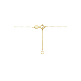 14k Geelgouden Collier met Rondje en Zirkonia 0,8 mm 42 - 45 cm