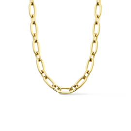 14K Geelgouden Collier met Zilveren Kern