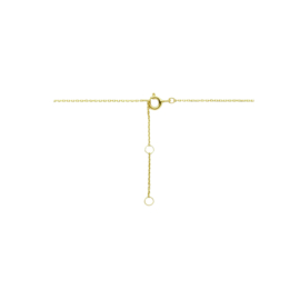 14k Geelgouden Collier met Slotje 0,8 mm 40 - 42 - 44 cm