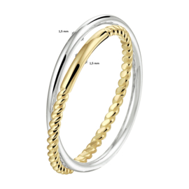 2-in-1 Ring van Bicolor Goud voor Dames
