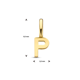 14K Geelgouden Hanger met Letter P