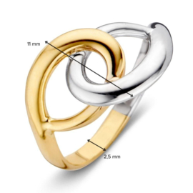 Excellent Jewelry Bicolor Ring met Twee Opengewerkte Cirkels