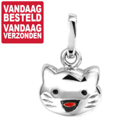 Poes Hanger van Gerhodineerd Zilver