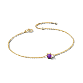 Gouden Armband met Geboortesteen Amethist 0.16ct Februari