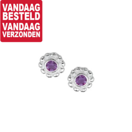 Paarse Strass Oorknoppen van Zilver