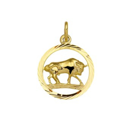 Sterrenbeeld Stier Gouden Hanger