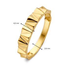 Excellent Jewelry Geelgouden Ring met Strak Design Motief