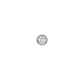 Mini Zilveren Jiving Munt met Zirkonia’s van MY iMenso