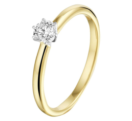 Geelgouden Ring met Diamant en Witgoud