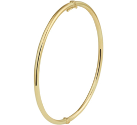 Geelgouden Bangle Armband met Zilveren Kern