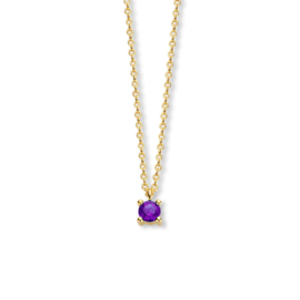 Gouden Collier met Geboortesteen Amethist 0.16ct Februari